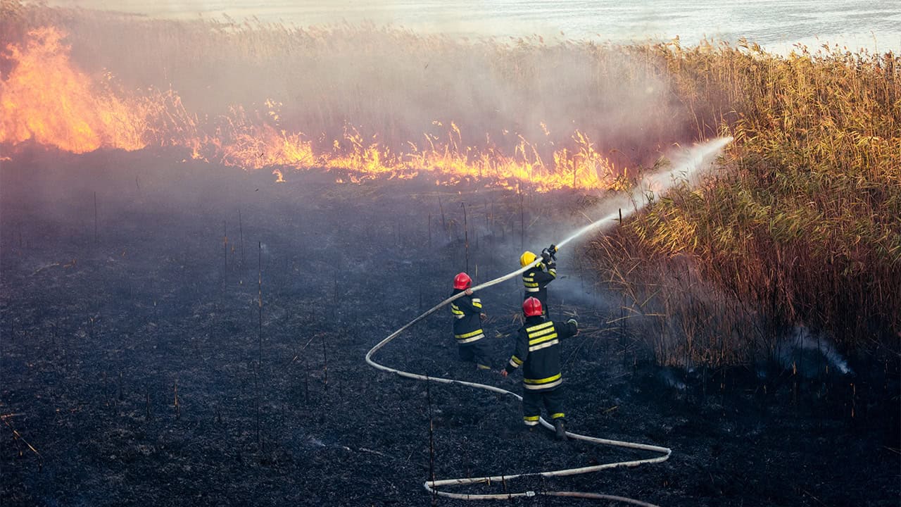 Disaster Victims May Qualify for Tax Relief | Insights | Boulay PLLP