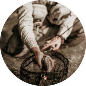 Matthew Delaney secondary