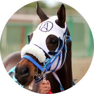 Chad M. Carlson secondary