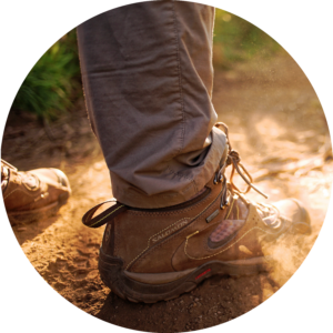 Carrie Cecere secondary