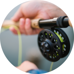 Chris Claussen secondary