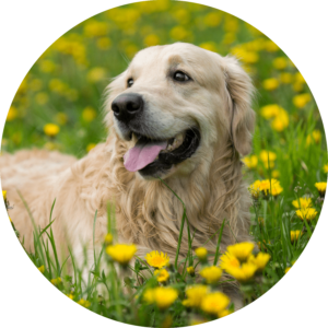 Gerilyn Berens secondary