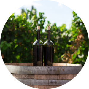 Robert V. Hahn secondary