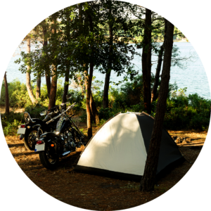 Terry Scott secondary