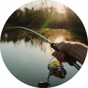 Michael Laier secondary